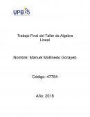 Trabajo Final del Taller de Algebra Lineal