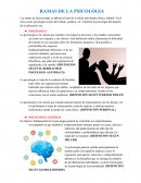 RAMAS DE LA PSICOLOGIA se aplican al área de la salud, psicología clínica, infantil