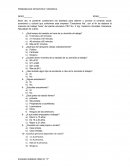 Encuesta empresa “Creaciones Ale”