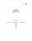 CASO 1 GDES LTDA