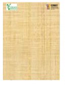 Plantel Dzemul La Drogadicción