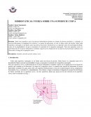 Informe de fuerzas hidrostáticas sobre una superficie curva