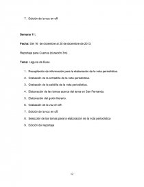 Periodismo con mención en Comunicación Digital. Página 12