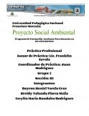 Plan de proyecto ambiental