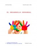 EL DESARROLLO SENSORIAL