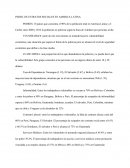 PERFIL DE ESTRATOS SOCIALES EN AMERICA LATINA