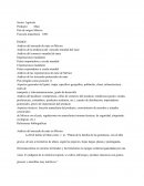 Analisis del mercado de maiz en México