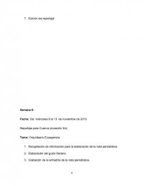 Periodismo con mención en Comunicación Digital. Página 8