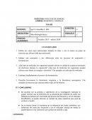 Defina los cinco tipos nutricionales tratados en clase y cite al menos un grupo de bacterias que utilizan cada tipo nutricional.