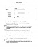 Actividad Plagas y controladores de plagas Plano del restaurante “El Canelón”