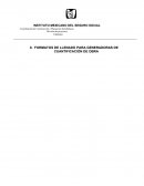 FORMATOS DE LLENADO PARA GENERADORAS DE CUANTIFICACIÓN DE OBRA