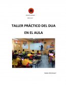 TALLER PRÁCTICO DEL DUA EN EL AULA