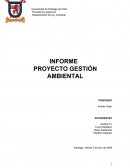 Gestion ambiental Diagrama de influencias de la Externalidad