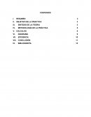 PRACTICA-CRISTALIZACION.