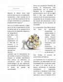 Revista Mecanicismo