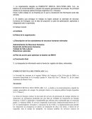 ENERGYST RENTAL SOLUTIONS ARG. S.A.