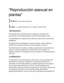 Reproducción asexual en plantas