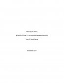 Proyecto Final Procesos Industriales INTRODUCCION A LOS PROCESOS INDUSTRIALES