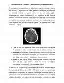 Contusiones de Cráneo o Traumatismos Craneoencefálico.