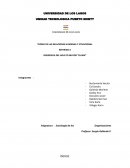 Administracion Teoria de las relaciones humanas y situacional