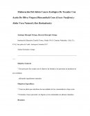 Cuentas spotify Sandra Hernández Arango.