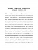 ENSAYO INDICE DE DESARROLLO HUMANO CENTRO SUR