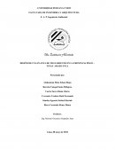 DISEÑO DE UNA PLANTA DE TRATAMIENTO EN LA PROVINCIA PISCO – TUPAC AMARU INCA