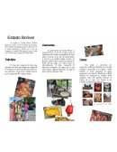 La gastronomía del estado Bolívar, se caracteriza por el uso de la yuca, para la elaboración del casabe y acompañante de otros platos