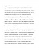 Eplicticos geologia Los depósitos epliclasticos