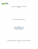 Gestion de organizaciones publicas