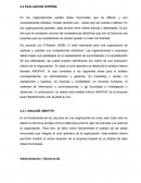 Planeamiento estrategico - analisis interno de una empresa de servicios