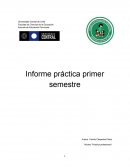 Informe práctica primer semestre