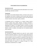 Desarrollo Medicina legal E$TUDIO MÉDICO IEGAI DE IA$ QUEMADURA$