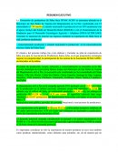 EXPORTACION DE HABA SECA