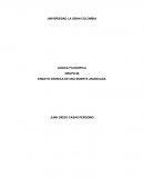 ENSAYO CRONICA DE UNA MUERTE ANUNCIADA