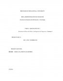 Sistemas de Bases de Datos e Inteligencia de Negocios