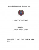 Ensayo de comprension y expresion linguistica avanzada