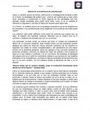 ENSAYO DE LA ESTRATEGIA DEL OCEANO AZUL