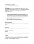 Docente de Artes Visuales : Castro Brenda