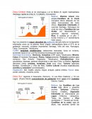 Resumen de historia zona central, sur y austral 5 basico