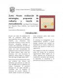 Plan de Mercadotecnia para negocio de Jugos Introducción