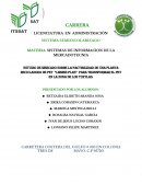 SISTEMAS DE INFORMACION DE LA MERCADOTECNIA