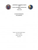 Actividad integradora Rojo amanecer