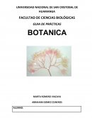 Guia de practica MARTA ROMERO VIACAVA