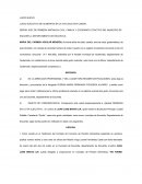 JUICIO EJECUTIVO DE ALIMENTOS EN LA VIA EJECUTIVA COMÚN.