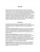 CELULAS. Procariotas
