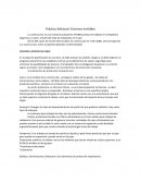 Práctico Adicional: Entornos Invisibles