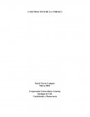 Caso practico de la unidad 3 Corporación Universitaria Asturias.