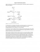 ﻿Algunas transformaciones químicas