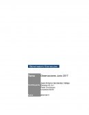 Papeles de trabajo Observaciones Junio 2017